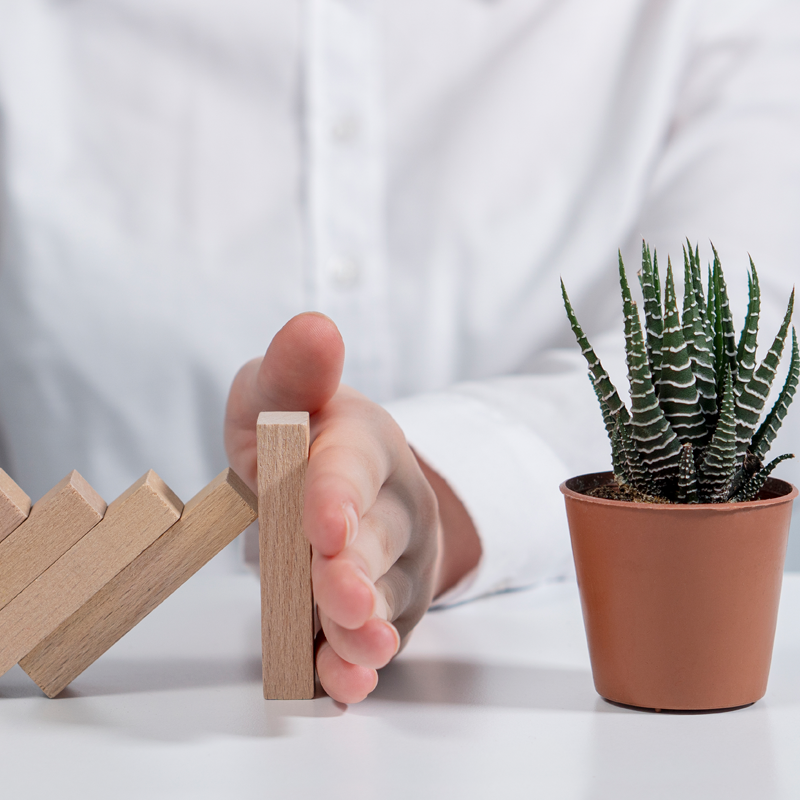 A person using their hand to stop wooden dominoes from hitting a plant