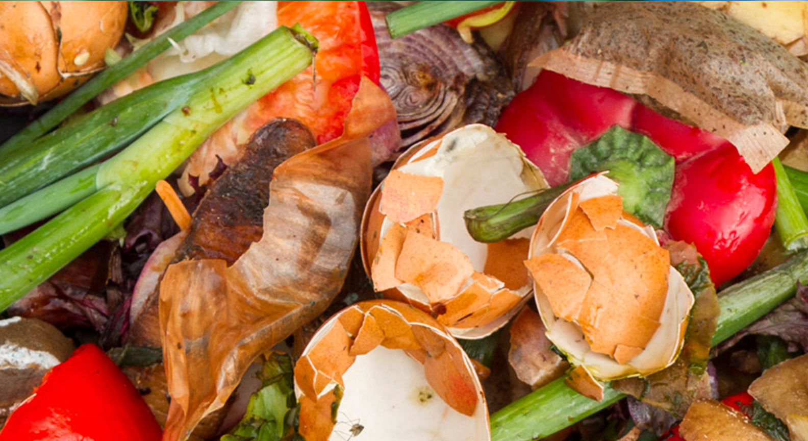 Food waste ready for recycling