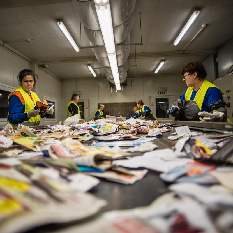 Staff working in from of a conveyor belt of materials at a Material Recover Facility