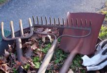 Garden tools lying in a garden